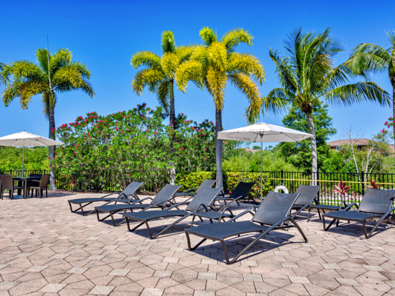 This image shows the pondside view of a glittering sky blue water and pool beds for a lush tropical atmosphere for a fun water experience.